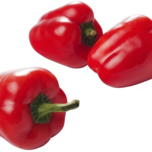 Gek Nadruk ziek Mini snack paprika gemengd per 200 gram - Groentehal