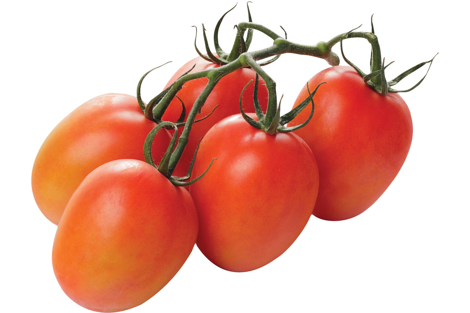 tomaten per (roma) Groentehal Pomodori 500 gram -